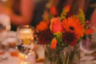 Washington DC Dinner River Cruise thumbnail 2
