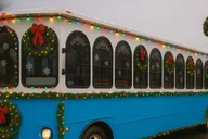 New York Dyker Heights Christmas Lights Tour 4 hr thumbnail 5