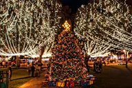 St. Augustine Nights of Lights Tour thumbnail 6
