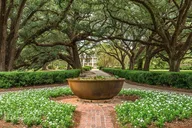 New Orleans Oak Alley Plantation and Airboat Tour thumbnail 3