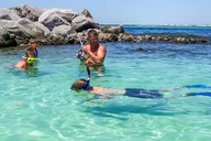 Destin Snorkeling and Shelling Excursion thumbnail 6