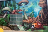 Denver Graffiti Tour in North RiNo thumbnail 3