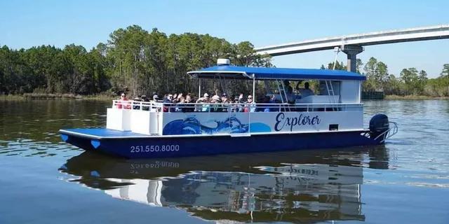 Orange Beach Dolphin Eco Cruise at Sunset - Image 6
