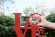 New Orleans Donuts & Beignets Walking Tour thumbnail 2