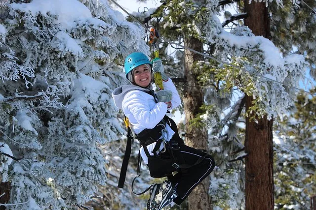 Big Bear Zipline Tour with Suspension Bridge - Image 6