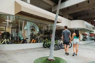 Waikiki Electric Bike Tour to Manoa Falls thumbnail 6
