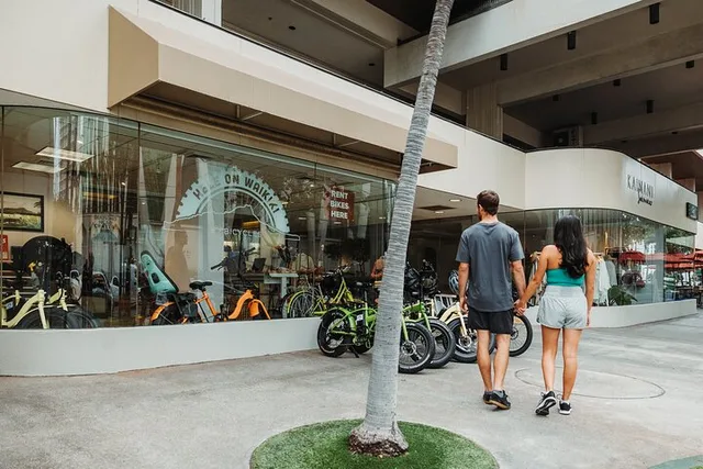 Waikiki Electric Bike Tour to Manoa Falls - Image 6