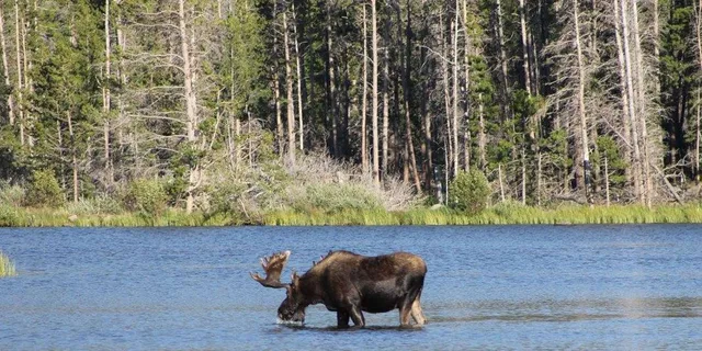 Estes Park Hiking and Bear Lake Corridor Tour - Image 5