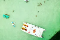 Key West Dolphin Watching Tour with Lunch thumbnail 1