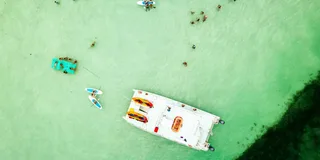 Key West Dolphin Watching Tour with Lunch