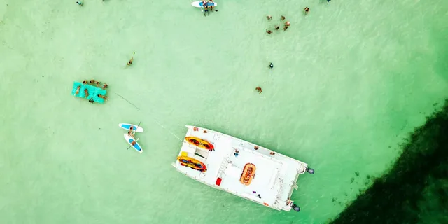 Key West Dolphin Watching Tour with Lunch - Image 1