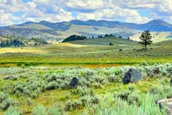Yellowstone Lamar River Valley Day Hike thumbnail 2