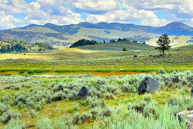 Yellowstone Lamar River Valley Day Hike - Image 2