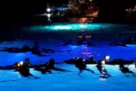 Kona Manta Ray Night Snorkel Adventure thumbnail 3