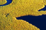 Savannah Dolphin Eco Tour thumbnail 6
