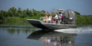 New Orleans Airboat Swamp Tour