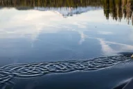 Bend Moonlight and Starlight Canoe Tour thumbnail 4
