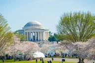 Washington DC Hop-on Hop-off Bus & Sunset Tour thumbnail 4