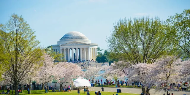 Washington DC Hop-on Hop-off Bus & Sunset Tour - Image 4