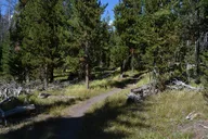 Yellowstone DeLacy Creek Trail Hike to Shoshone Lake thumbnail 4
