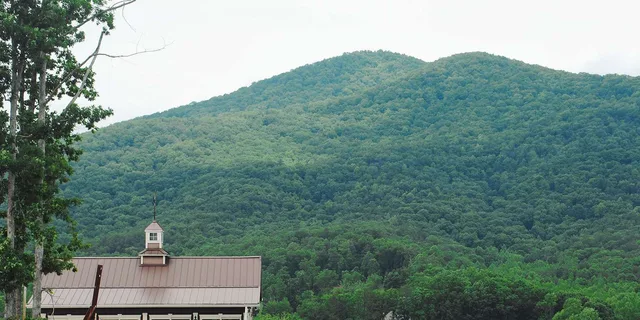 Atlanta Wine Country Tour - Image 3