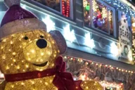 Newport Beach Harbor Holiday Lights Cruise thumbnail 4
