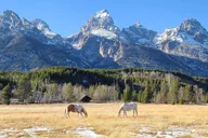 Bozeman Yellowstone and Grand Teton National Park Tour thumbnail 2