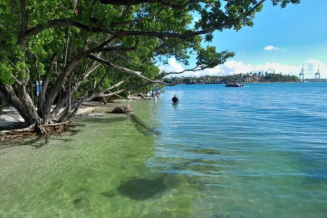 Miami Snorkeling Tour for Beginners - Image 4