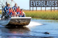 Miami Everglades Airboat Alligator Tour with Transfer thumbnail 4