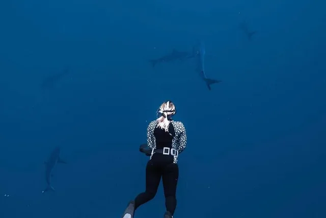 Oahu Shark Diving and Snorkeling - Image 4