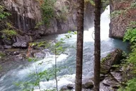 Bird Creek ATV Nature Tour & Hike in Chugach State Park thumbnail 6