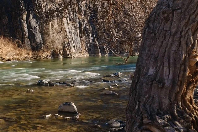 Almaty Charyn Canyon and Kolsay Lake Tour - Image 5