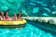 San Antonio Aquatica Park Admission thumbnail 1