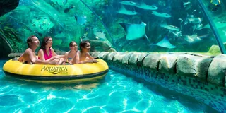 San Antonio Aquatica Park Admission