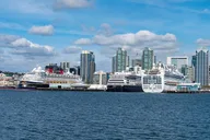 San Diego Private Airport Transfer thumbnail 3