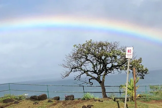 Maui Iao Valley, Distillery and Lavender Farm Tour - Image 2