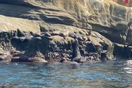 La Jolla Sea Caves Kayak Tour thumbnail 6