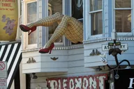 San Francisco Van Tour thumbnail 3