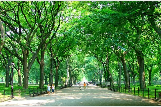 New York City Central Park Walking Tour - Image 4