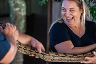 Weston Everglades Reptile Exhibit and Airboat Tour thumbnail 4