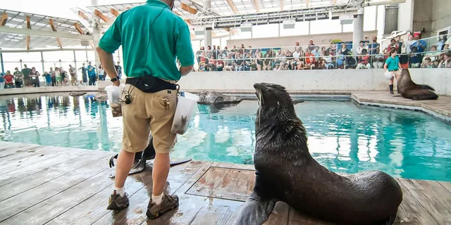 Boston New England Aquarium Admission - Image 3