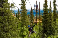 Denali Zipline Adventure thumbnail 2
