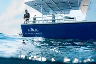 West Palm Beach Shark Snorkel Adventure thumbnail 2
