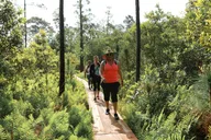 Central Florida Nature Walk and Yoga Class thumbnail 3
