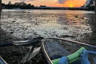 Austin Clear Kayak Tour at Lady Bird Lake thumbnail 4