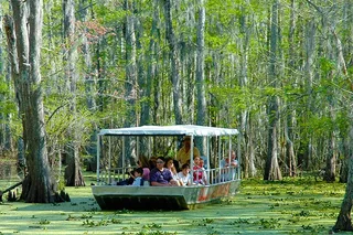 New Orleans Swamp and Bayou Boat Tour