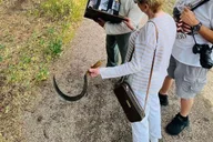 Fort Collins Walking and Riding Tour of Historical Sites thumbnail 5