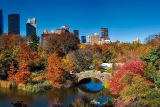 New York Central Park Self-Guided Shakespeare Quest