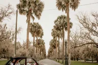 Savannah Vintage Cabriolet Sightseeing Tour 1.5 hr thumbnail 6