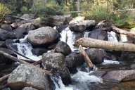 Rocky Mountain National Park Women's Hike to Ouzel Falls thumbnail 2